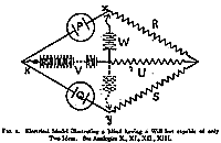 Electrical Model illustrating a Mind having a Will but capable of only Two Ideas